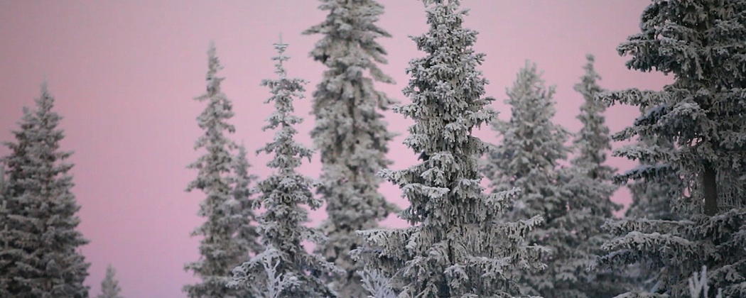 From "Aatsinki: The Story of Arctic Cowboys." (Courtesy, Argot Pictures)