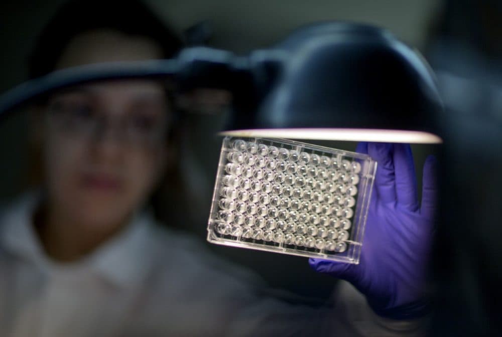 Microbiologist Tatiana Travis reads a panel to check on a bacterium's resistance to an antibiotic at the federal Centers for Disease Control and Prevention in Atlanta. (David Goldman/AP)