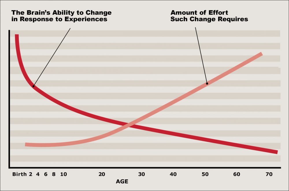 Click to enlarge. (Source: Pat Levitt, 2009)