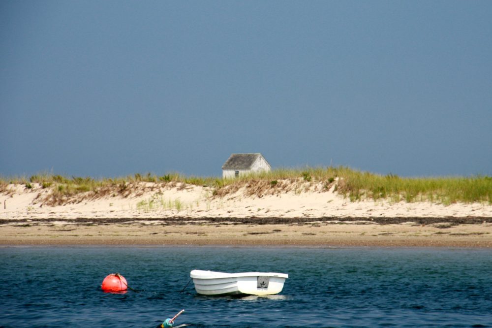 Cape Cod (Josh and Erica Silverstein/Flickr)