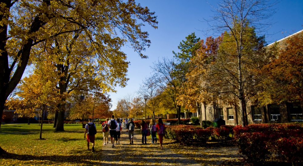 Judith Sizer: "The media and the government may have turned a light onto sexual violence on campus, but effective prevention can only happen one student at a time." Pictured: fall at Ohio Northern University. (kcolwell/Flickr)