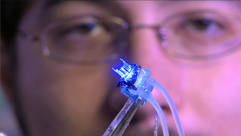 This optogenetic device uses light to activate specific brain cells. (Courtesy McGovern Institute for Brain Research at MIT)