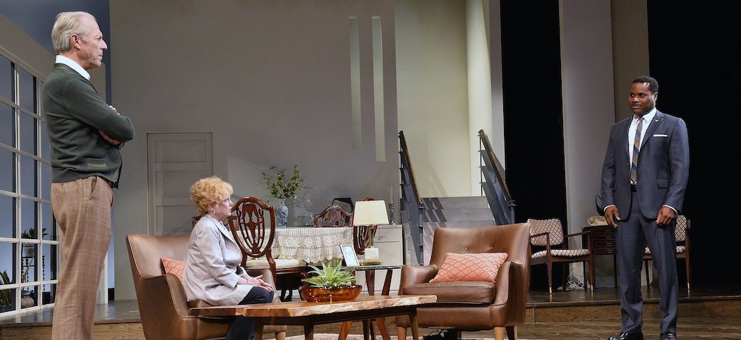 Will Lyman, Julia Duffy and Malcolm-Jamal Warner in "Guess Who's Coming to Dinner." (Paul Marotta)