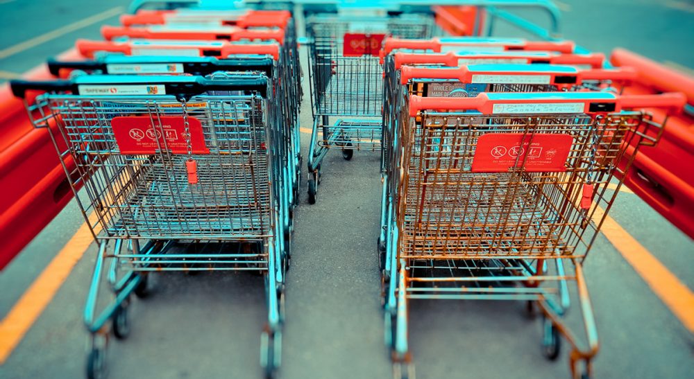 Susan Senator: "Cleaning up the shopping carts may not be your dream job, but for guys like my Nat, walking around in the fresh air, putting things away, and not having to talk to people is an ideal way for him to spend his time." (arlophoto/Flickr)