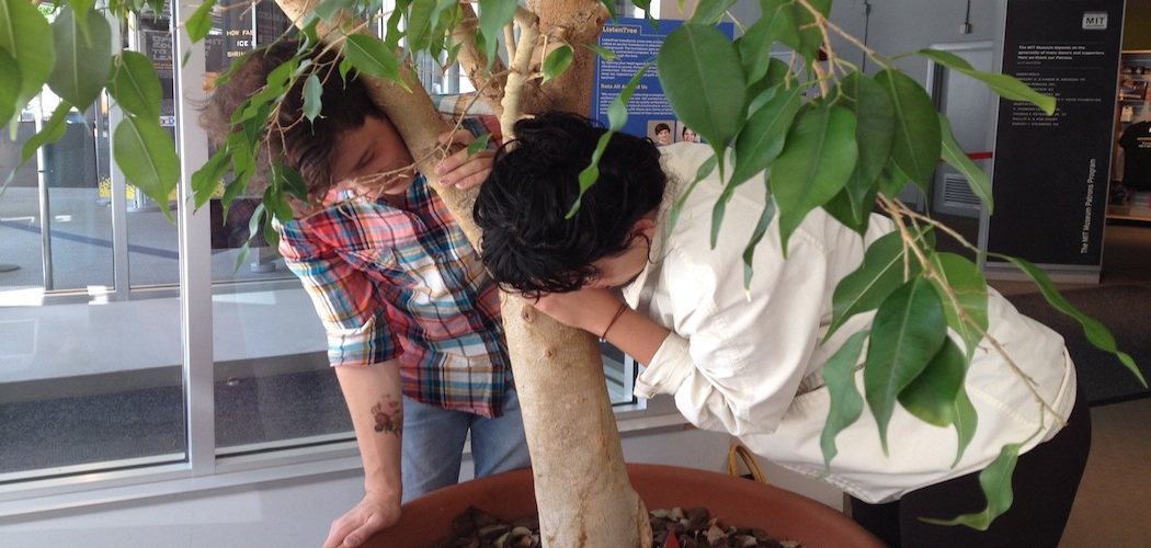 ListenTree creators Gershon Dublon (left) and Edwina Portocarrero (right) test the sound-conducting ficus on display at the entrance of the MIT Musuem through Dec. 31.