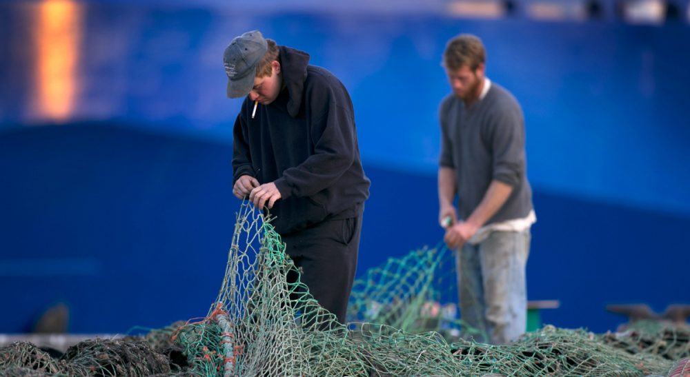 Atlantic Cod And The Human 'Tragedy Of The Commons