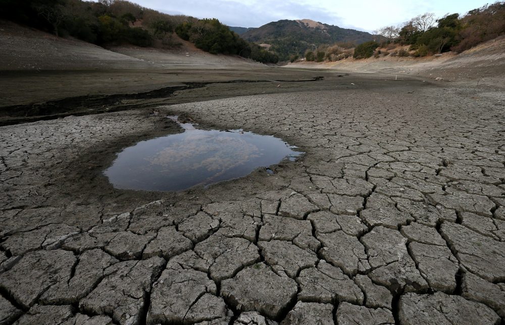 A small pool of water is surrounded by dried and cracked earth that was the bottom of the Almaden Reservoir on January 28, 2014 in San Jose, California. Now in its third straight year of drought conditions, California is experiencing its driest year on record, dating back 119 years, and reservoirs throughout the state have low water levels. (Justin Sullivan/Getty Images)