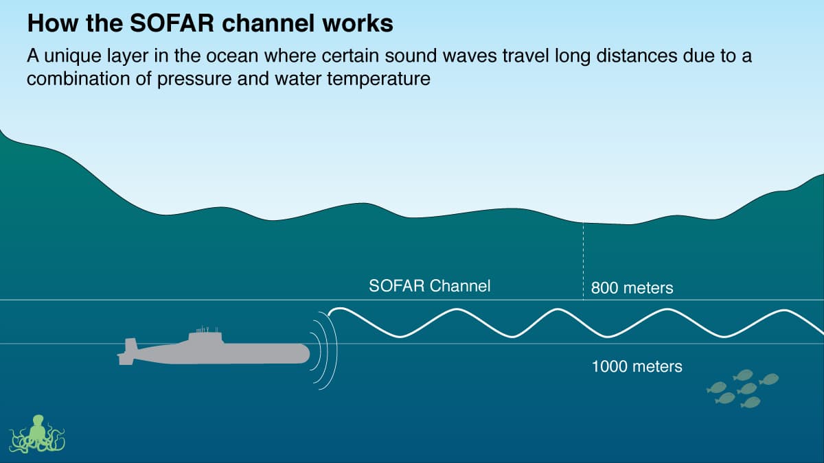 Eavesdropping On The Ocean Here & Now