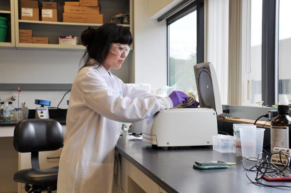 A researcher at Berg Health's laboratory in Framingham. (Courtesy of Berg Health)