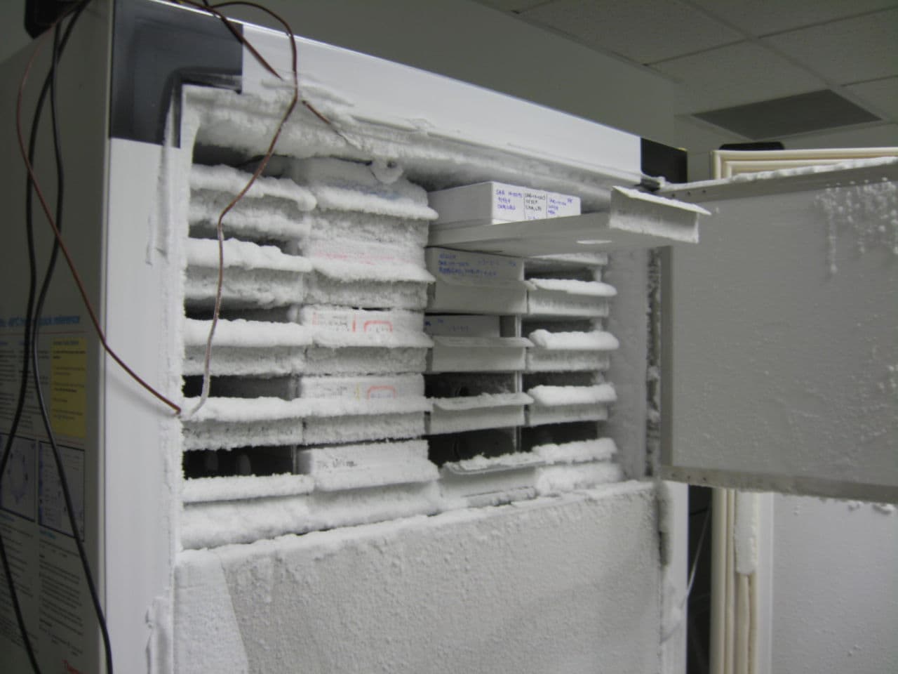 Freezers are the Fort Knox of Berg Health's facility in Framingham. They store valuable samples of thousands of patients over time, that help the company read the story of an unfolding cancer to try to find ways to stop it. (Curt Nickisch/WBUR)