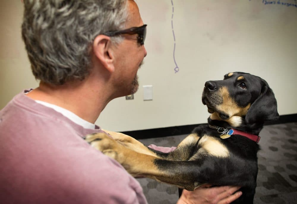 Randy Pierce with his guide dog, Autumn, at WBUR (Robin Lubbock/WBUR)