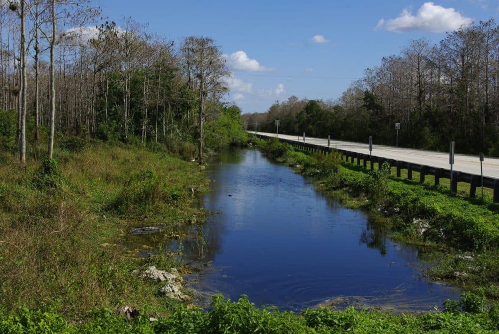 everglades bike trail plans draw protests | here & now
