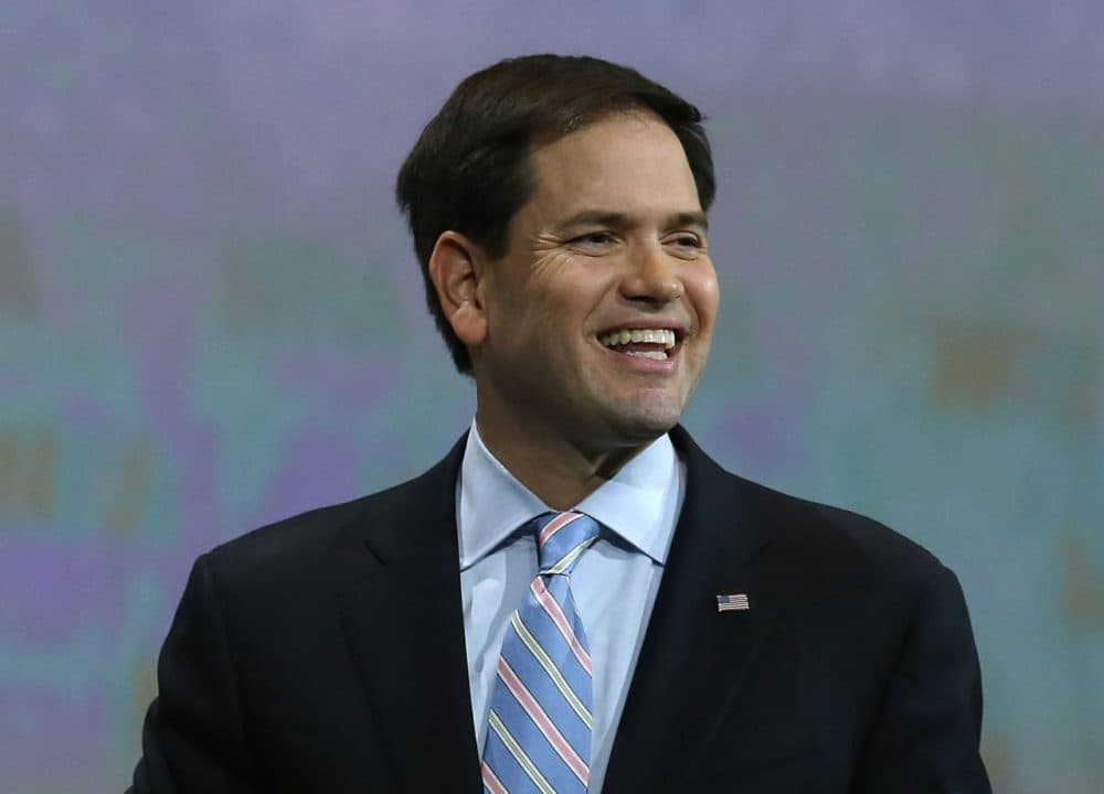 U.S. Sen. Marco Rubio (R-FL) speaks during the NRA-ILA Leadership Forum at the 2015 NRA Annual Meeting & Exhibits on April 10, 2015 in Nashville, Tennessee. The annual NRA meeting and exhibit runs through Sunday. (Justin Sullivan/Getty Images)
