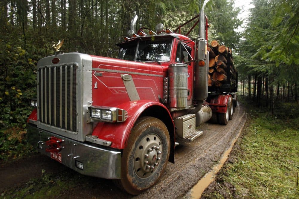 A loaded logging truck heads down the road in the forest near Banks, Ore. (Don Ryan/AP)