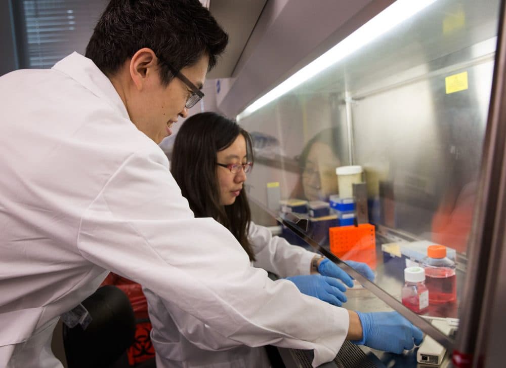 Jerry Lin and Sharon Wang at the not yet one-year-old Laboratory of Systems Pharmacology at Harvard Medical School. The two are studying the effects of cancer treatment drugs on the heart. (Robin Lubbock/WBUR)