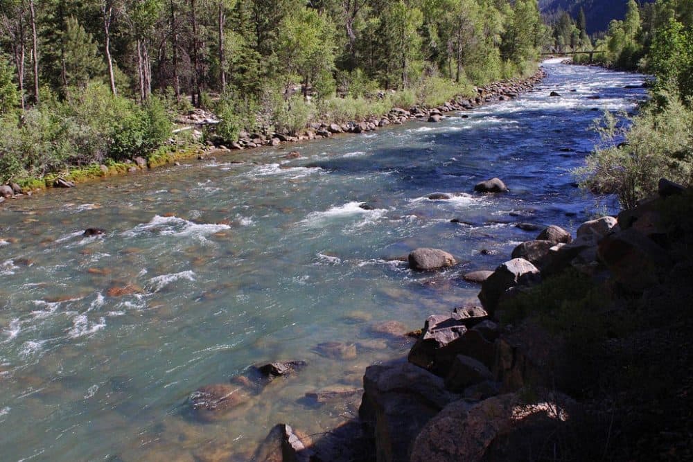 Colorado's Animas River, pictured here, is near unrecognizable now as its waters have turned yellow as a result of an accidental mine spill over the weekend, also impacting New Mexico's San Juan River. (scott1346/Flickr)