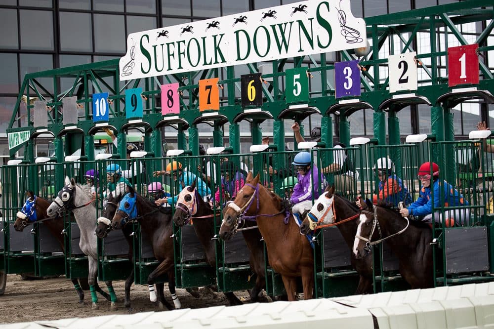 Horses line up at the gate during the last day of live racing at Suffolk Downs on Oct. 4, 2014. Three special "festival" race days are coming up in the fall of 2015. (Jesse Costa/WBUR)