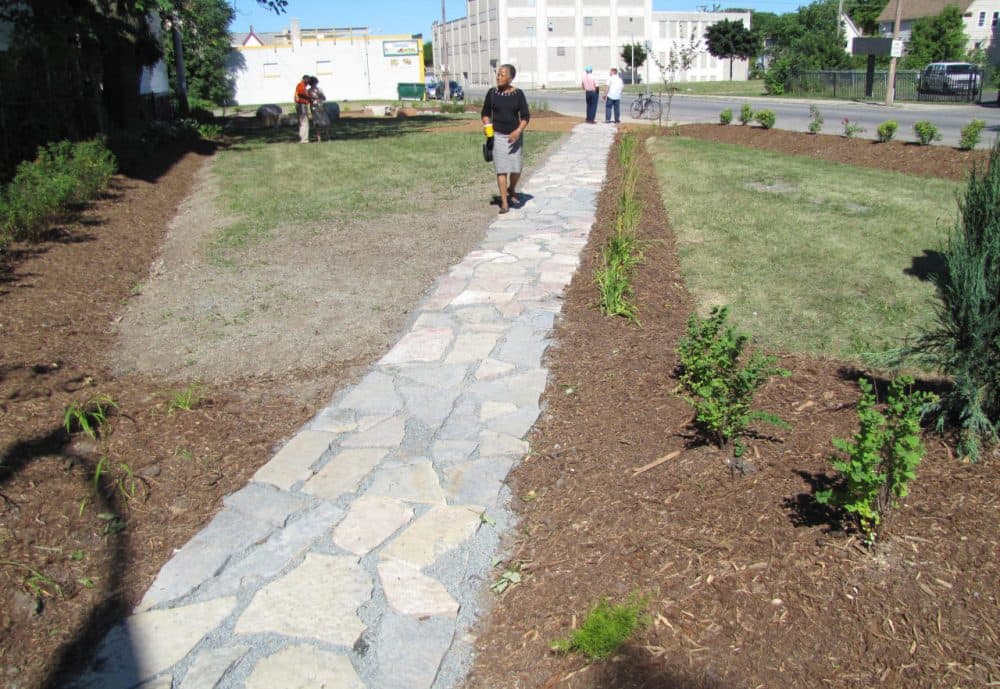 Until a short time ago, this empty lot in Milwaukee was an eyesore that attracted dumping and troublesome activity. Now named Sunshine Park, the parcel is dotted with freshly-planted bushes and fruit trees. (Susan