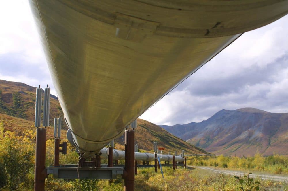 A portion of the 800-mile Trans-Alaska pipeline that feeds oil to the West Coast. (Al Grillo/AP File)