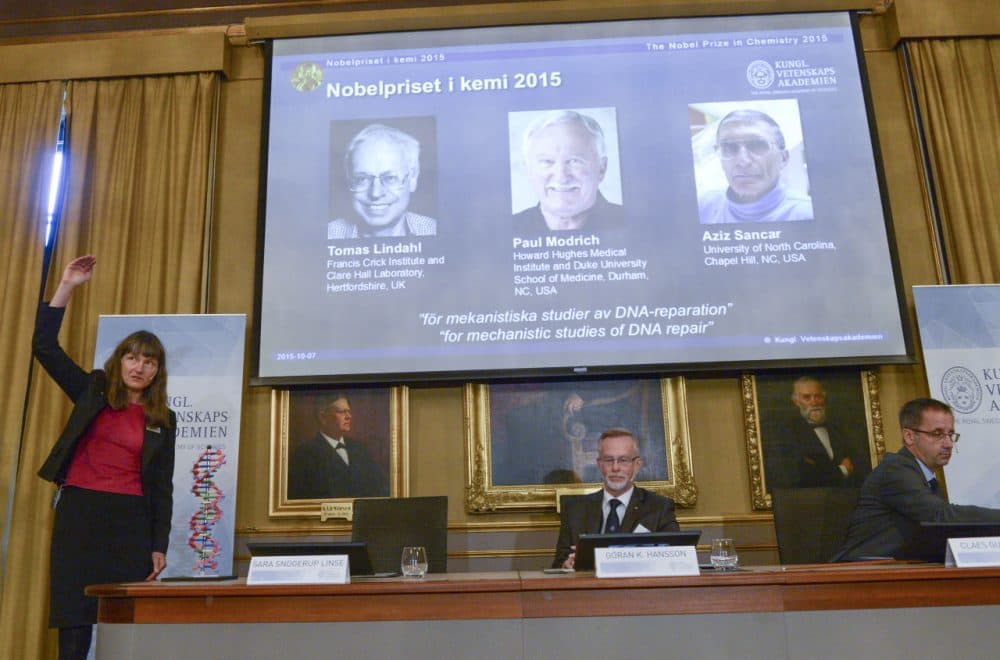 Professor Sara Snogerup Linse, left explains why the laureates were awarded as Goran K. Hansson (center) and Claes Gustafsson, members of the Nobel Assembly sit during a press conference at the Royal Swedish Academy in Stockholm, Wednesday, Oct. 7, 2015. Sweden's Tomas Lindahl, American Paul Modrich and U.S.-Turkish scientist Aziz Sancar won the Nobel Prize in chemistry on Wednesday for "mechanistic studies of DNA repair." (Fredrik Sandberg/TT News Agency via AP)