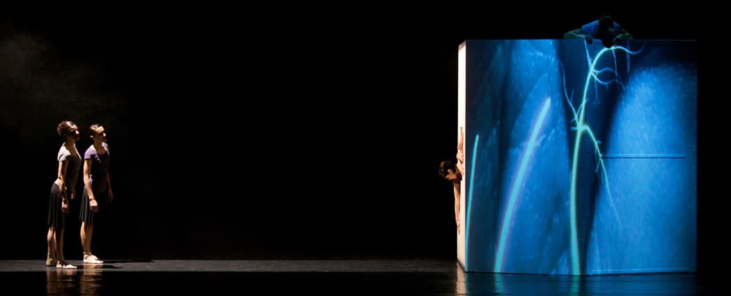 Spellbound Contemporary Ballet performing "The Four Seasons." (Gaia Michaelangelo Copia)