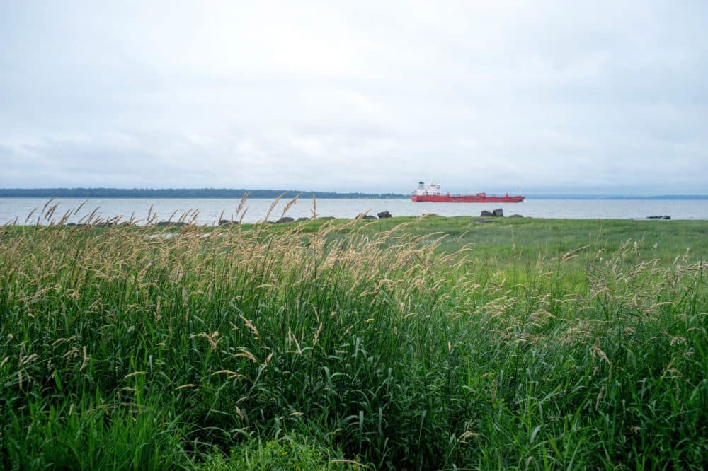 A freighter is sailing in the St. Lawrence River on July, 18th along L'ïle d'orléans Island (Québec, Canada). Just after midnight this morning, the city of Montreal began dumping raw, untreated sewage into this main waterway. Over the next six days, the city will dump more than 2 billion gallons of untreated sewage into the river, which runs from the Great Lakes to the Atlantic Ocean. (Clement Sabourin/AFP/Getty Images)