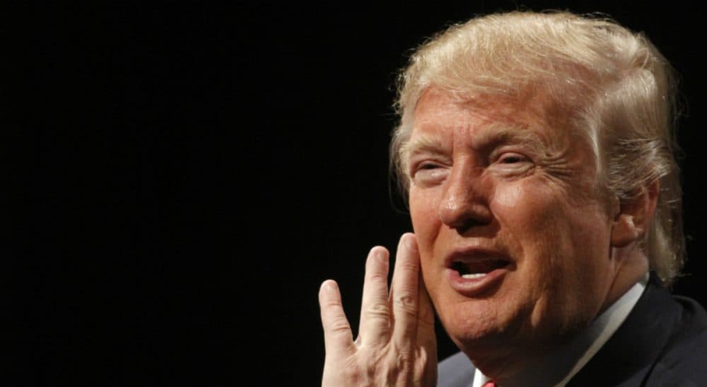 Republican presidential candidate Donald Trump speaks during the WHO-HD Iowa Forums at the Des Moines Area Community College Newton Campus, Thursday, Nov. 19, 2015, in Newton, Iowa. (Matthew Holst/ AP)