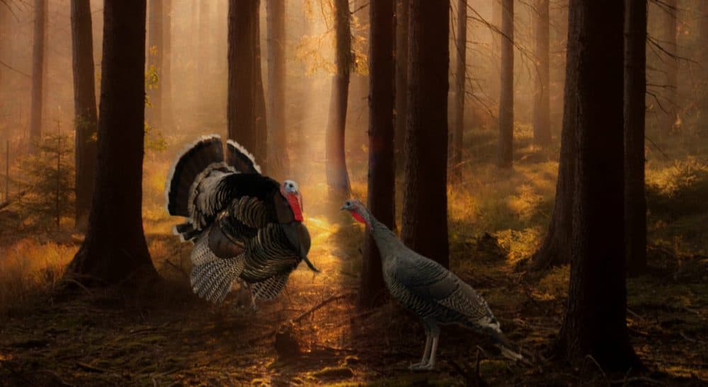 Hinda Mandell: "I thought...visiting my Thanksgiving dinner in advance of the holiday would make me feel more grateful. I just wasn’t prepared for the guilt." (lunamom58/flickr)