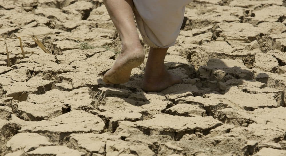 Seth Itzkan and Karl Thidemann: "Soil restoration is a necessary second front in our battle against the heating up of Earth’s atmosphere." Pictured: Drought-stricken land in Iraq in 2009. (Hadi Mizban/AP)