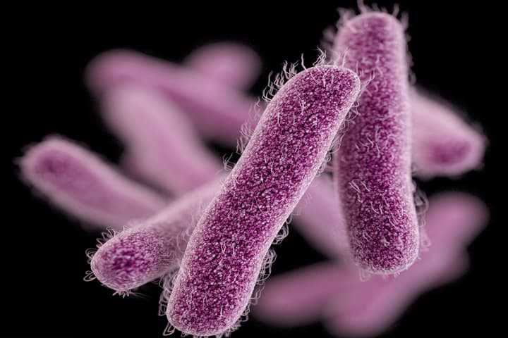 A New Superbug Attacks Our Last Line Of Antibiotic Defense | On Point