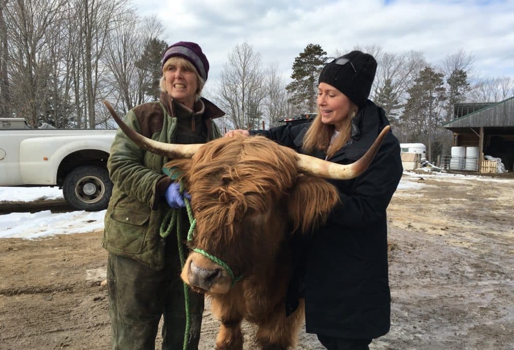 Carole Soule and Here & Now's Robin Young are pictured at Miles Smith Farm. (Jill Ryan/Here & Now)