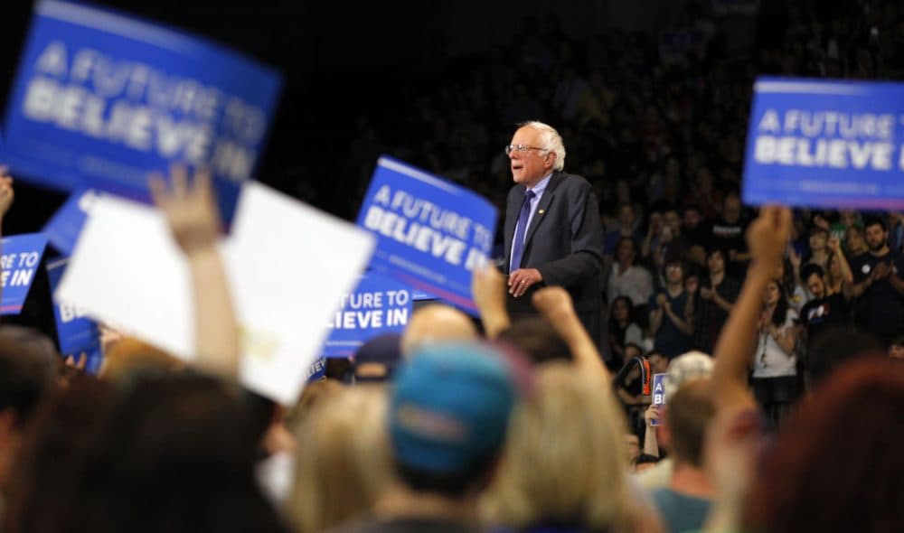 Democratic presidential candidate Bernie Sanders addresses the crowd during a campaign rally at the Big Sandy Superstore Arena, April 26, 2016 in Huntington, West Virginia. Sanders is preparing for West Virginia's May 10th primary. (John Sommers II/Getty Images)