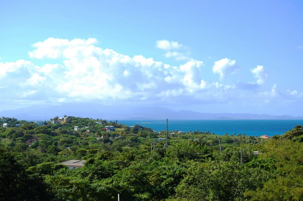 Vieques is home to 16 endangered species and hosts hundreds of species of birds as they migrate across the Caribbean. (Mark Donoher/Flickr)