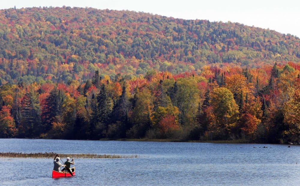 Brad and Sue Wyman paddle their 1930's Old Town Guide canoe along the Androscoggin River in Dummer, N.H. Critics of proposals to import relatively clean hydropower from Quebec into the Northeastern United States worry that transmission lines will spoil New Hampshire's natural beauty with power lines. (Jim Cole/AP)