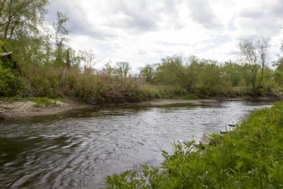 General Electric had a large plant in Pittsfield that polluted the Housatonic River, seen here, with PCBs. (Joe Difazio for WBUR)