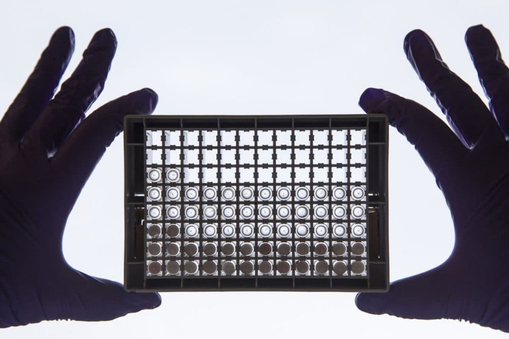 A scientist examining cells in a 96-well plate. These plates allow scientists to look at lots of cells at the same time and directly compare cells that have or have not been treated with a drug. (Dan Kitwood/Getty Images/Cancer Research UK)