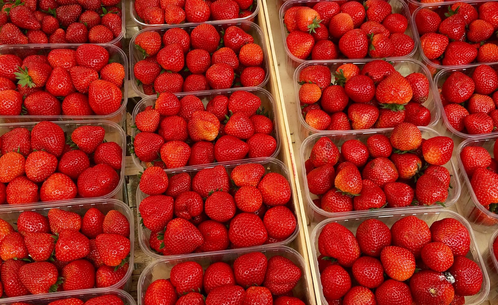 Cartons of strawberries at a French market in Sarlat, France. (Kathy Gunst for Here & Now)
