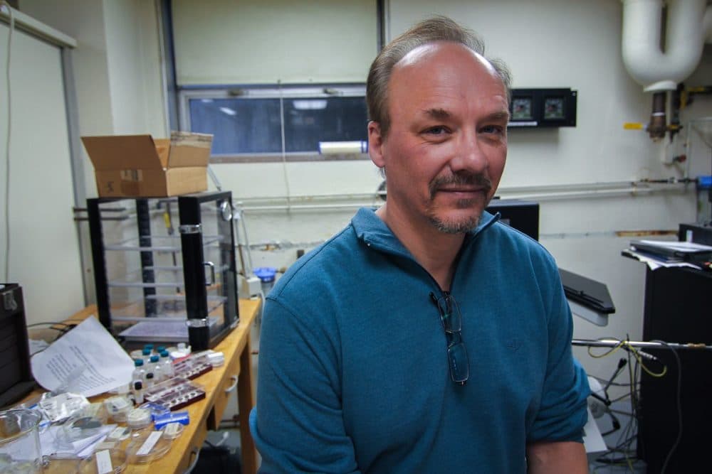 Greg Kenning’s discovery of a new way of detecting food freshness was completely accidental. “This was a pure discovery. We weren’t looking for this,” he says. (Photo/Kara Holsopple)