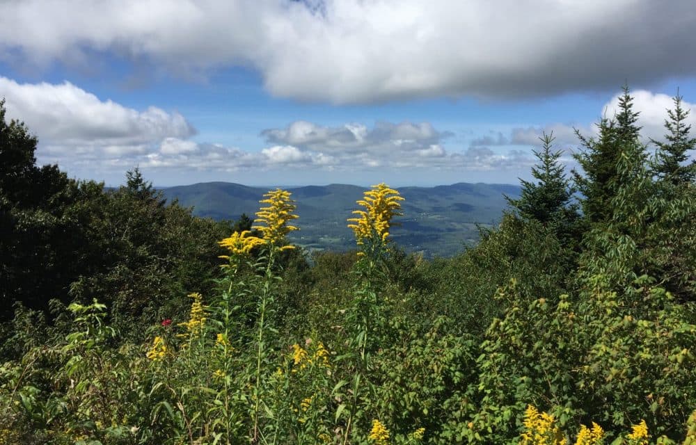J.K. Rowling's latest tale sets a school for witchcraft and wizardry on Mount Greylock in the Berkshire Mountains of Western Massachusetts. (Beth J. Harpaz/AP)