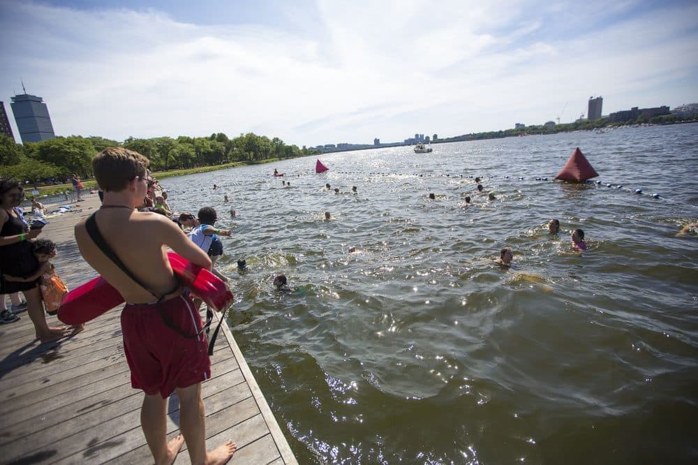 Conservancy Wants You To Be Able To Swim In The Charles River Whenever