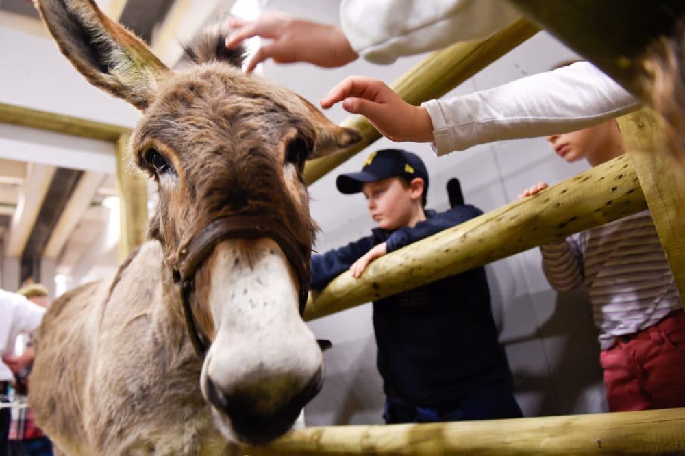 Children pet a donkey during the Paris international agricultural fair at the Porte de Versailles exhibition center in Paris on Feb. 26, 2015. (Loic Venance/AFP/Getty Images)
