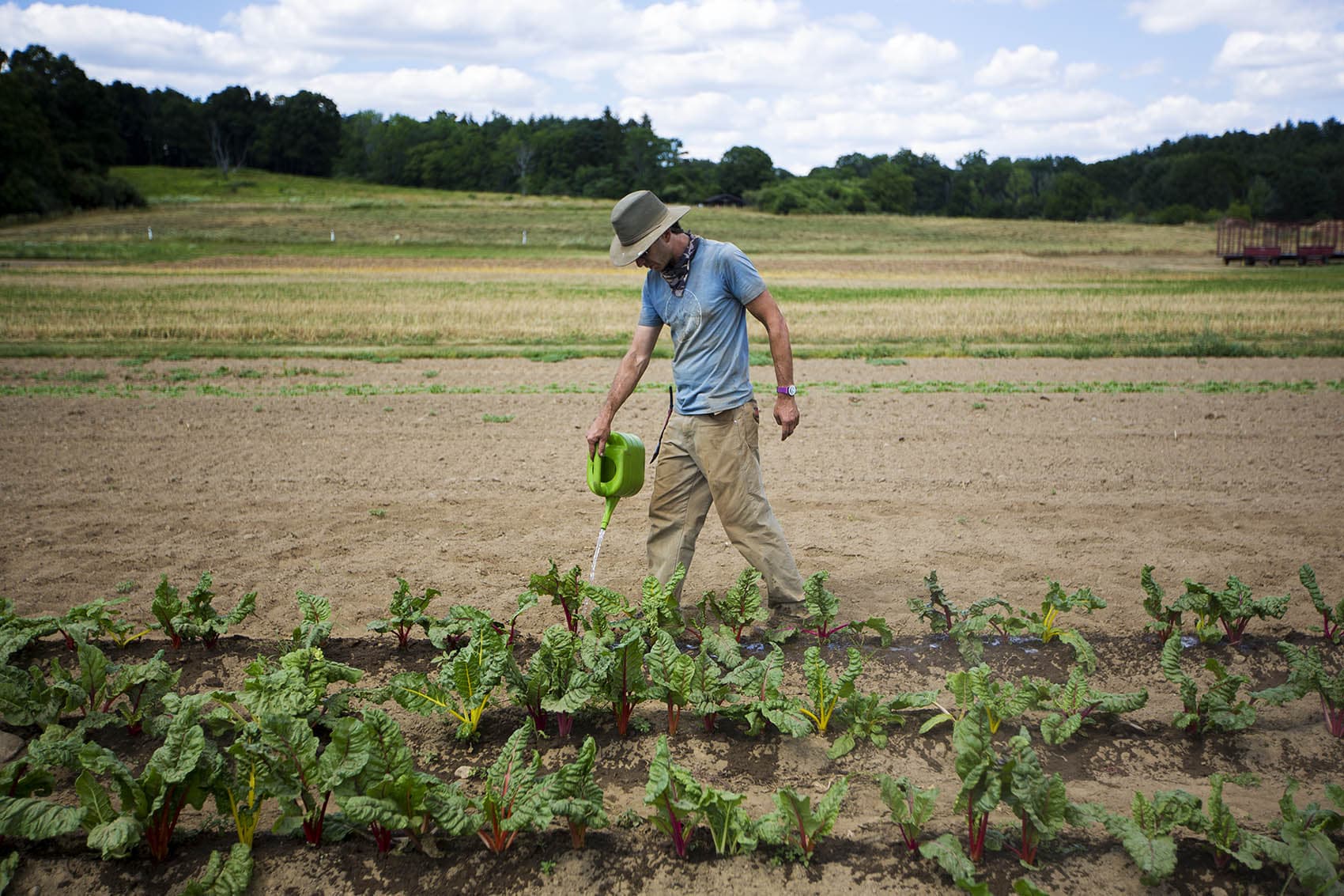 how-this-summer-s-severe-drought-is-affecting-mass-farmers-and-their