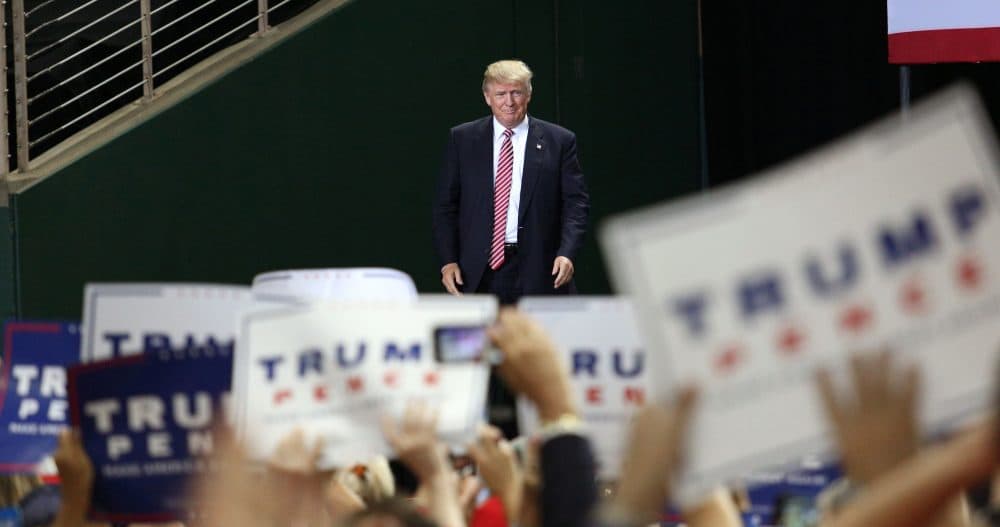 Republican presidential candidate Donald Trump is cheered by supporters during a campaign rally in Kissimmee, Florida on Aug. 11, 2016. (Greg Newton/AFP/Getty Images)