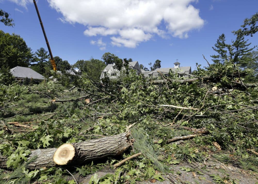 It's Confirmed: A Tornado Touched Down In Concord | WBUR News