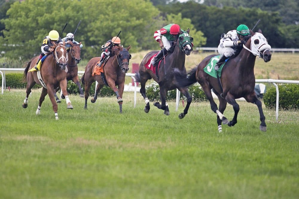 Mass. Horse Racing Fund Doesn't Have Enough Places To Spend Its Money ...