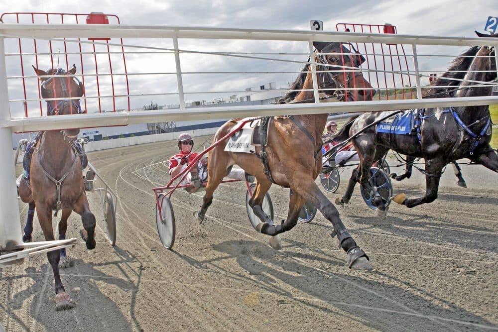 Drivers prepare for a harness race at Plainridge Park in June. The state’s only full-time track will hold races 115 days this year as a condition of a license to operate an adjacent slot parlor. (Courtesy of Lauren Owens/The Eye)