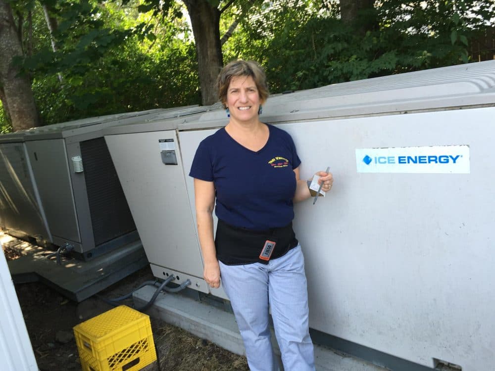 Deb Frenkel and the Ice Bears that help cool her Boothbay store, T&D Variety. (Fred Bever/MPBN)
