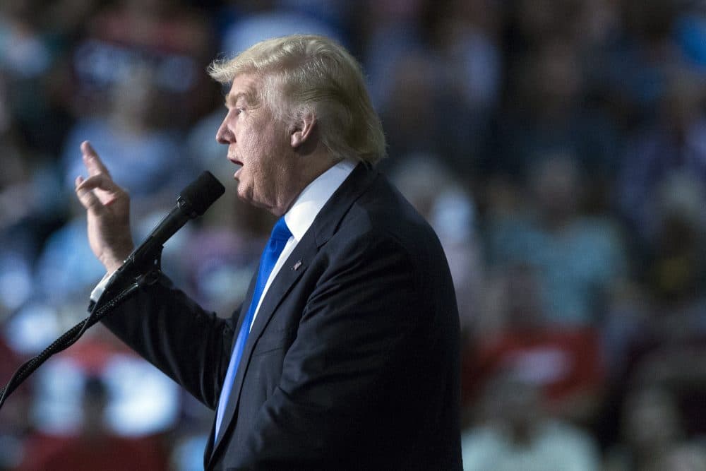 Republican presidential candidate Donald Trump speaks during a campaign rally on Tuesday, Sept. 20, 2016, in Kenansville, N.C. (Evan Vucci/AP)