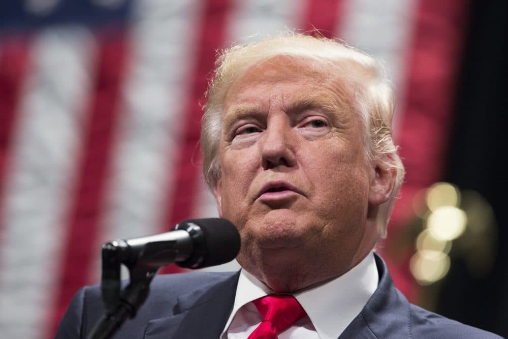 Republican presidential candidate Donald Trump speaks during a campaign rally in Toledo, Ohio. (Evan Vucci/AP)