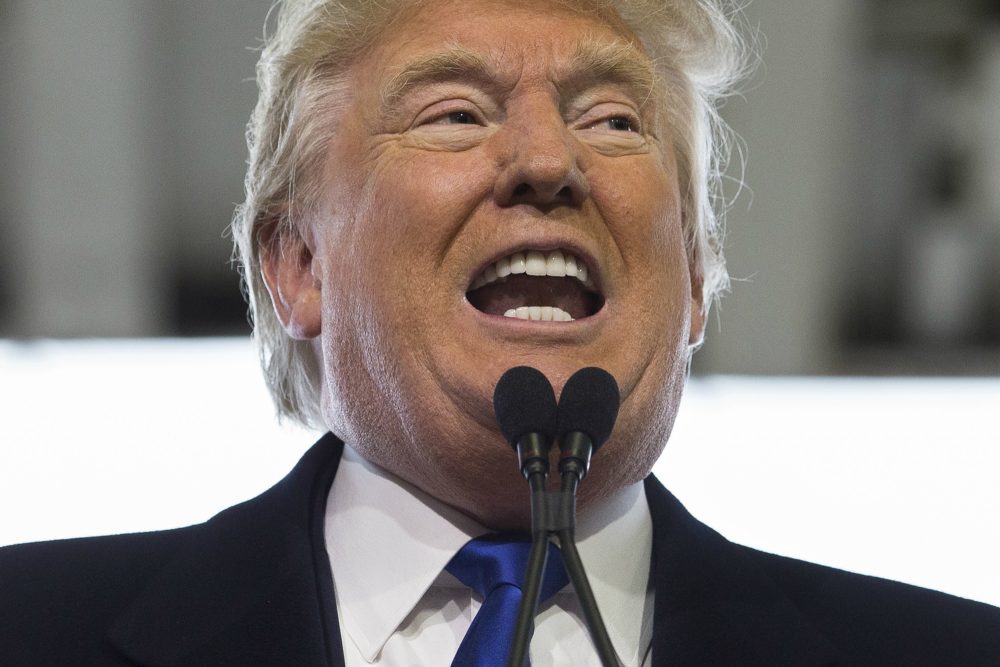 In this March 1, 2016 photo, Republican presidential candidate Donald Trump speaks during a campaign stop in Columbus, Ohio. (John Minchillo/AP)